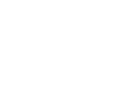 rotate phone icon